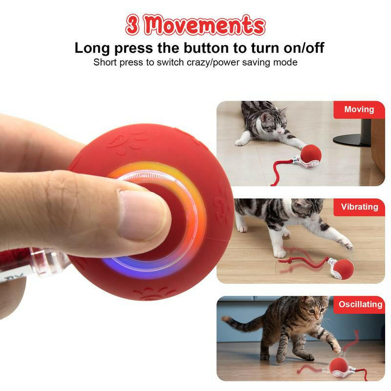 Cat&Dog Toy - Interactive USB Rechargeable Ball Toy on Rug with Bird Chirping, Anti-Depression Fun Gift for Cats & Dogs