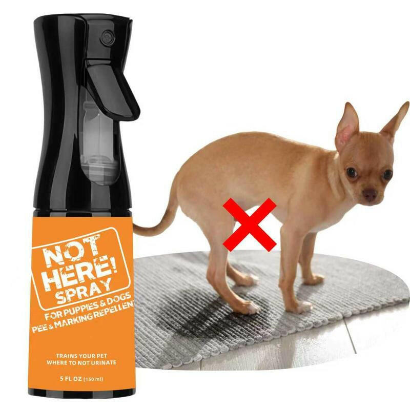 NOT HERE SPRAY - anti Cat & Dog Urine Spray - 5 Fl Oz -No More Marking Spray for Dogs & Cats-Non-Staining Potty Training Spray Fordogs & Cats - Effective Don'T Pee Herespray for Dogs