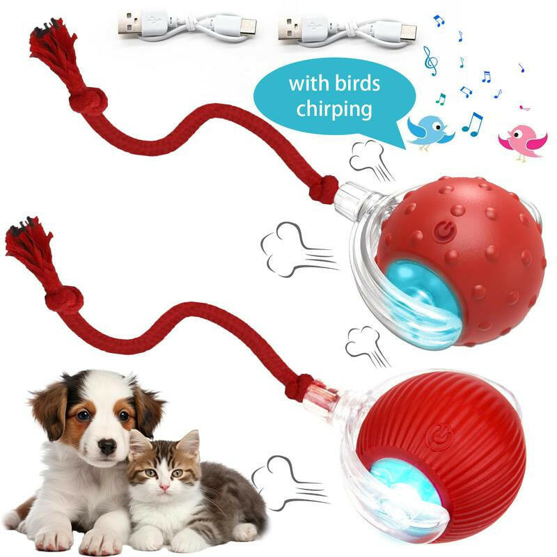 Cat&Dog Toy - Interactive USB Rechargeable Ball Toy on Rug with Bird Chirping, Anti-Depression Fun Gift for Cats & Dogs