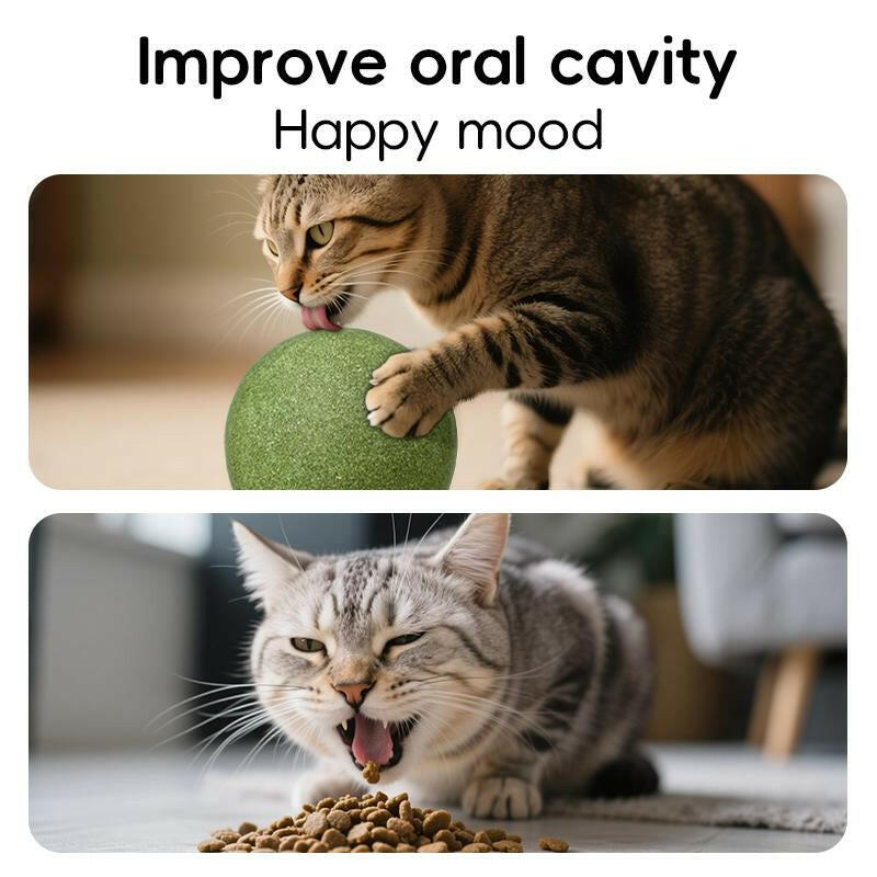 Extra-Large Size Natural Cat Mint Ball, 10 Cm in Diameter, Solid, Edible, Natural Cat Mint Toy, a Fun Toy for Cats