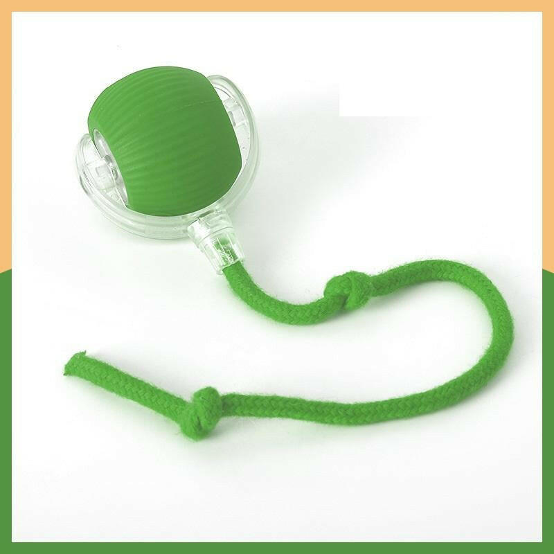 Cat&Dog Toy - Interactive USB Rechargeable Ball Toy on Rug with Bird Chirping, Anti-Depression Fun Gift for Cats & Dogs