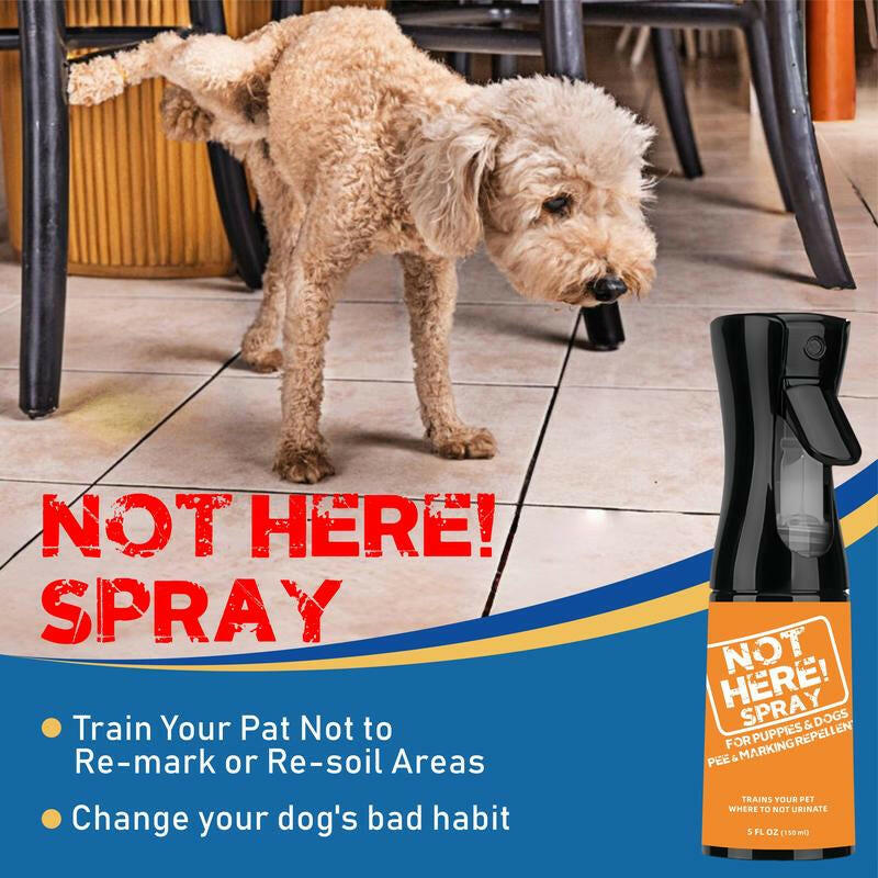 NOT HERE SPRAY - anti Cat & Dog Urine Spray - 5 Fl Oz -No More Marking Spray for Dogs & Cats-Non-Staining Potty Training Spray Fordogs & Cats - Effective Don'T Pee Herespray for Dogs