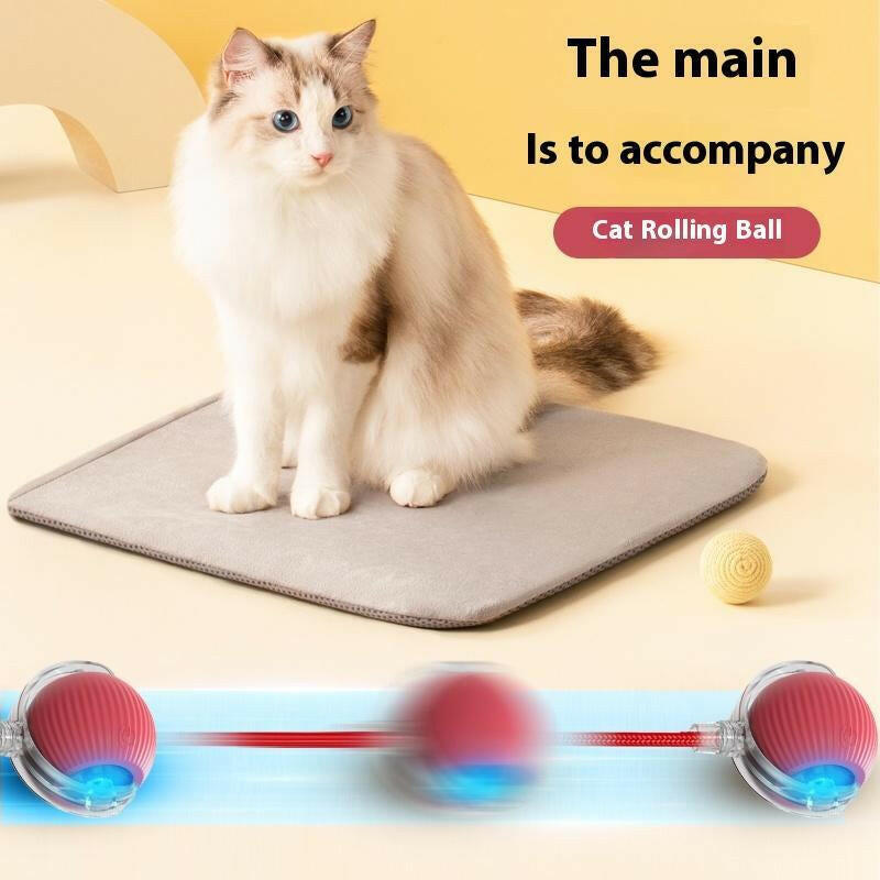 Interactive Cat Toy Ball: Automatically Rolling Electric Ball, Suitable for Indoor Cats/Dogs, Brings the Fun of Chasing Tails. Motion Sensing, Keeps Pets Busy and Enjoys Rich Sports Stimulation. Great Pet Gifts/Supplies.