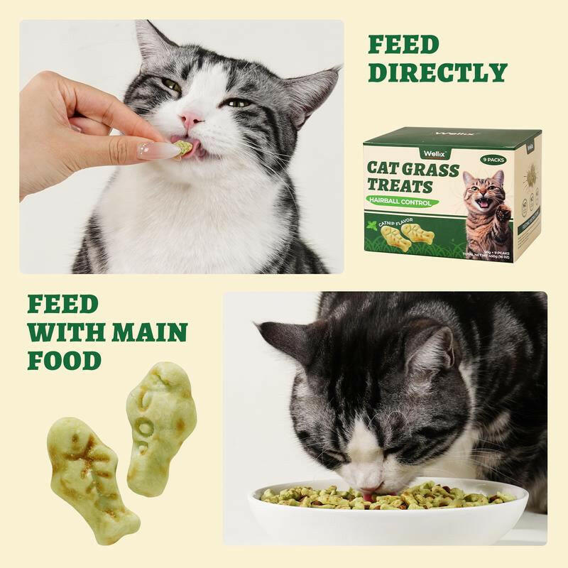 450G/16Oz Cat Grass Treats,Crunchy Cat Treats 9 Packs (50G Each),Natural Cat Grass Sticks &Cat Grass Teeth Cleaning Treats for Cat Training Rewards Box Pet Products