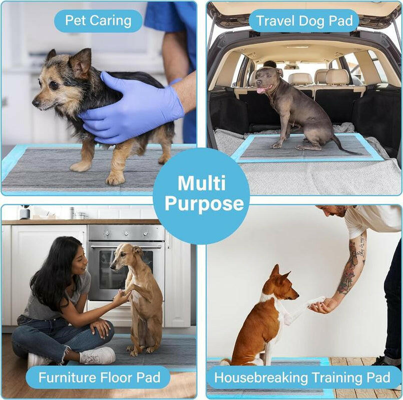 Super-Absorbent Waterproof Dog & Cat and Puppy Pet Training Pad, Housebreaking Pet Pad, 100-Count Small-Size