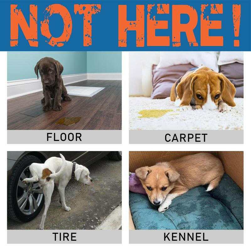 NOT HERE SPRAY - anti Cat & Dog Urine Spray - 5 Fl Oz -No More Marking Spray for Dogs & Cats-Non-Staining Potty Training Spray Fordogs & Cats - Effective Don'T Pee Herespray for Dogs