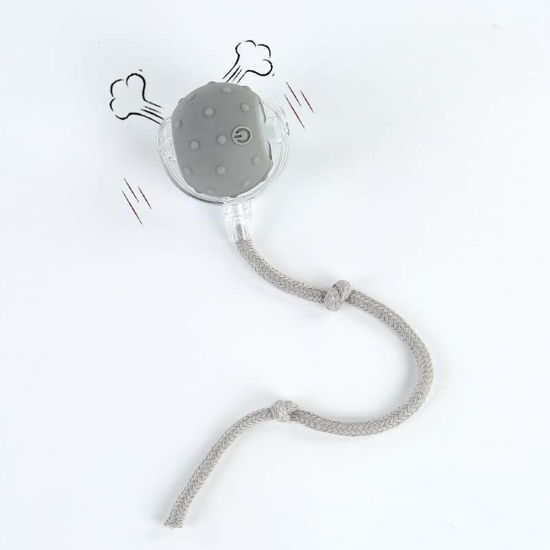 Cat&Dog Toy - Interactive USB Rechargeable Ball Toy on Rug with Bird Chirping, Anti-Depression Fun Gift for Cats & Dogs