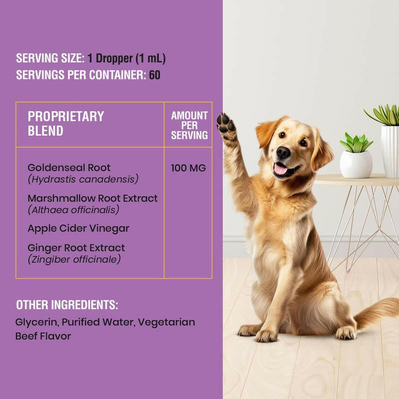 Special Breed Yeast Infection Treatment for Dogs - Soothing Itch Relief, Ear Infection Treatment, Reduces Irritation & Inflammation, 2 Oz