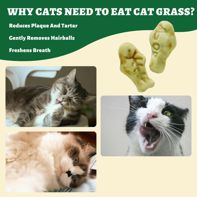 450G/16Oz Cat Grass Treats,Crunchy Cat Treats 9 Packs (50G Each),Natural Cat Grass Sticks &Cat Grass Teeth Cleaning Treats for Cat Training Rewards Box Pet Products