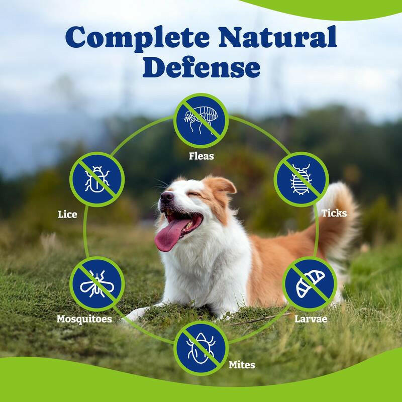 Flea & Tick Prevention for Dogs Chewables, Yoyobay Natural Dog Fleas and Ticks Control Supplement, Dogs Supplement, Natural Shield 5-In-1 Protection, Beef & Carrot Flavor, 70 Soft Chews