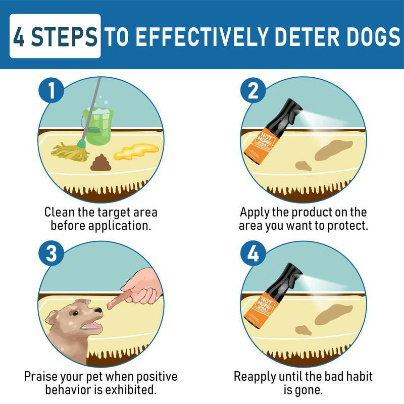NOT HERE SPRAY - anti Cat & Dog Urine Spray - 5 Fl Oz -No More Marking Spray for Dogs & Cats-Non-Staining Potty Training Spray Fordogs & Cats - Effective Don'T Pee Herespray for Dogs