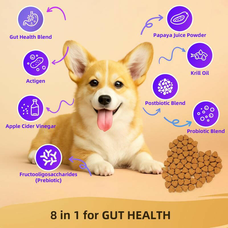 Hapwag Probiotic Soft Chews for Dogs – Digestive Health & Allergy Relief Dog Treats