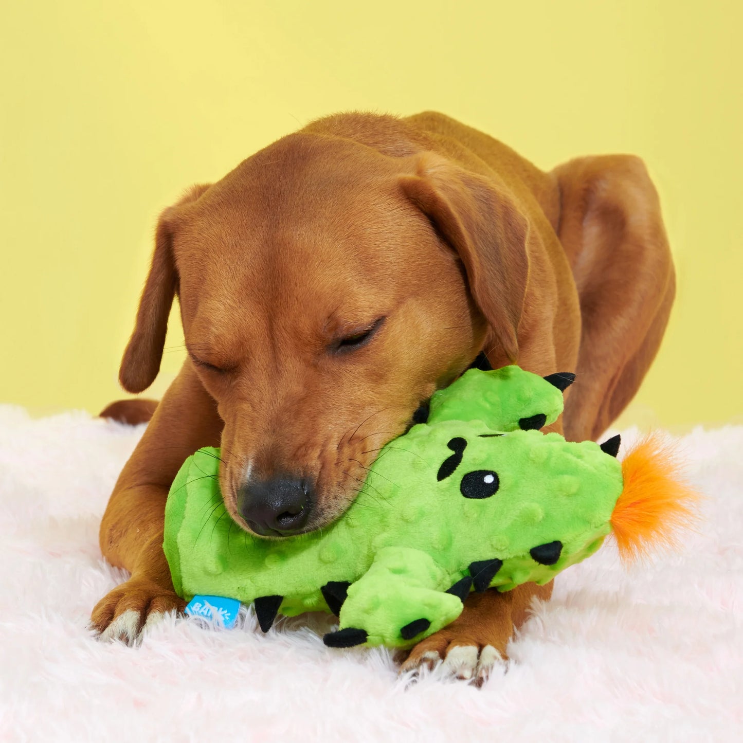Prickly Pete Dog Toy, Surprise Squeaker Toy Inside, Extra Small to Small Dogs, Green