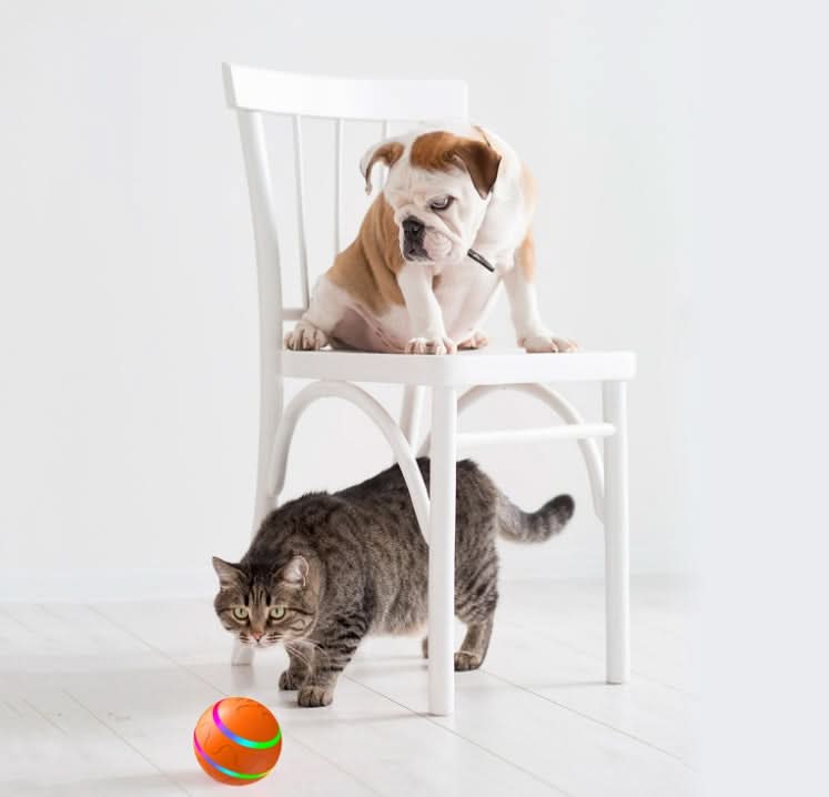 Pet New Cat Wicked Ball Toy Intelligent Ball USB Cat Toys Self - Pets Best shop