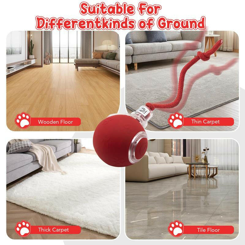 Cat&Dog Toy - Interactive USB Rechargeable Ball Toy on Rug with Bird Chirping, Anti-Depression Fun Gift for Cats & Dogs