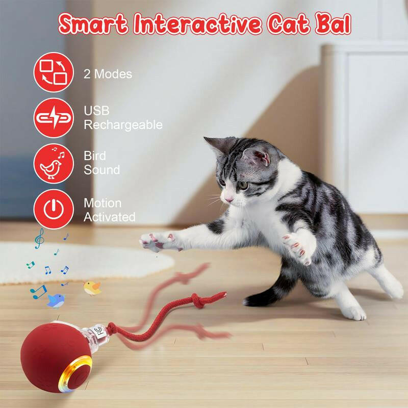 Cat&Dog Toy - Interactive USB Rechargeable Ball Toy on Rug with Bird Chirping, Anti-Depression Fun Gift for Cats & Dogs