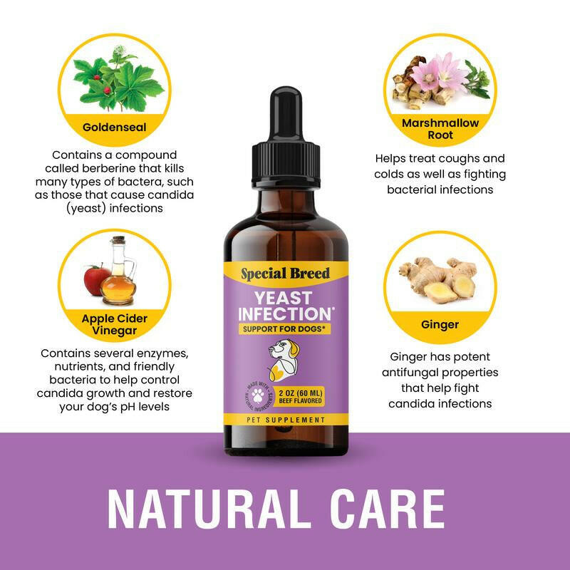Special Breed Yeast Infection Treatment for Dogs - Soothing Itch Relief, Ear Infection Treatment, Reduces Irritation & Inflammation, 2 Oz