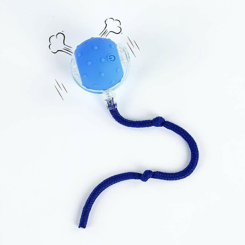 Cat&Dog Toy - Interactive USB Rechargeable Ball Toy on Rug with Bird Chirping, Anti-Depression Fun Gift for Cats & Dogs