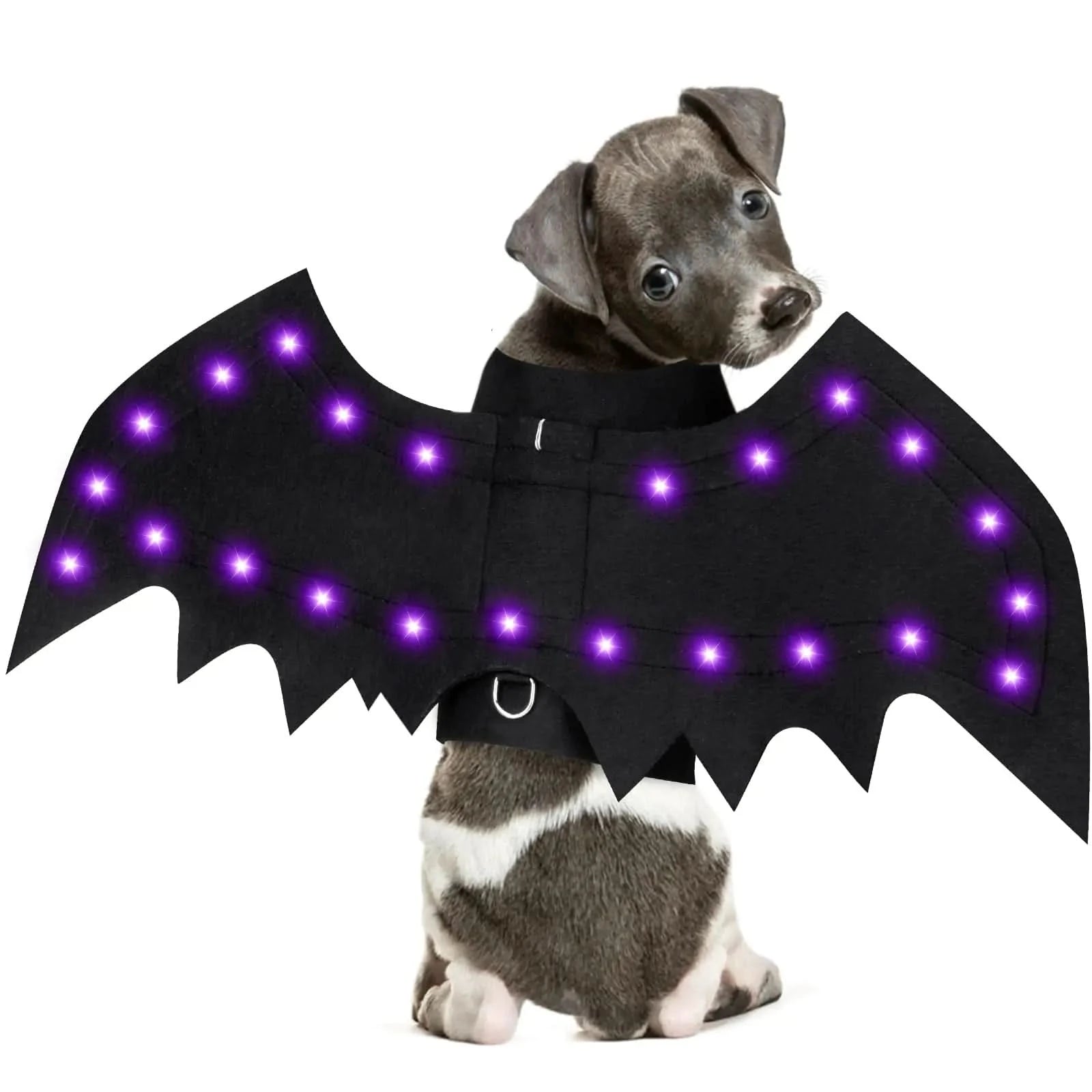 Yoochee Light Up Dog Halloween Costume Halloween Dog Bat Wings Costume with 16 Purple Lights Funny Dog Costumes Halloween for Small Medium Large Dogs Cats Pet Costume Cosplay for Party(Small) - Pets Best shop