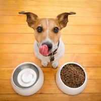 Treats