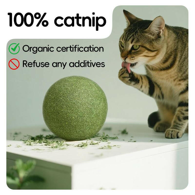 Extra-Large Size Natural Cat Mint Ball, 10 Cm in Diameter, Solid, Edible, Natural Cat Mint Toy, a Fun Toy for Cats