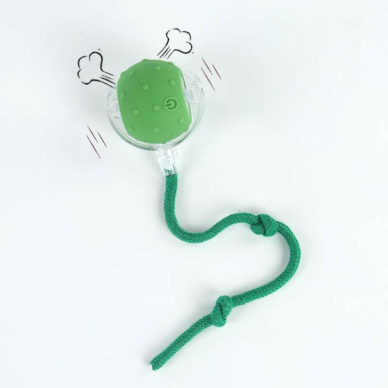 Cat&Dog Toy - Interactive USB Rechargeable Ball Toy on Rug with Bird Chirping, Anti-Depression Fun Gift for Cats & Dogs