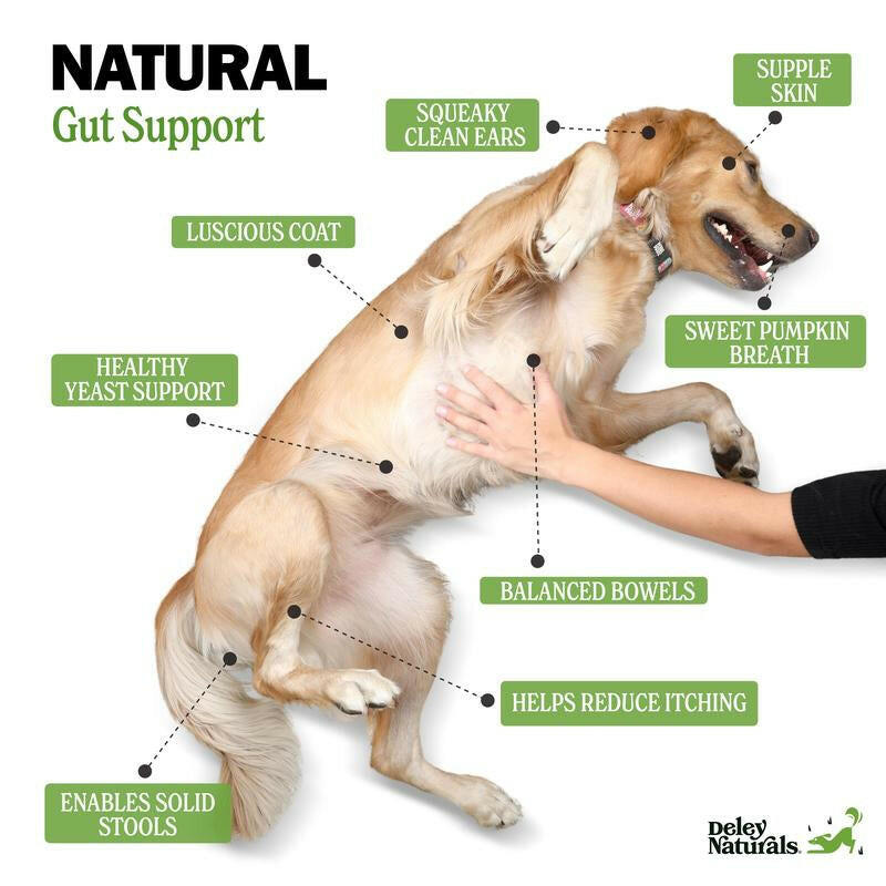 Deley Naturals Probiotic Chews for Dogs - All Natural Chicken Flavor, 120 Chews, 4 Billion Cusps, Supports Digestion & Immune Health