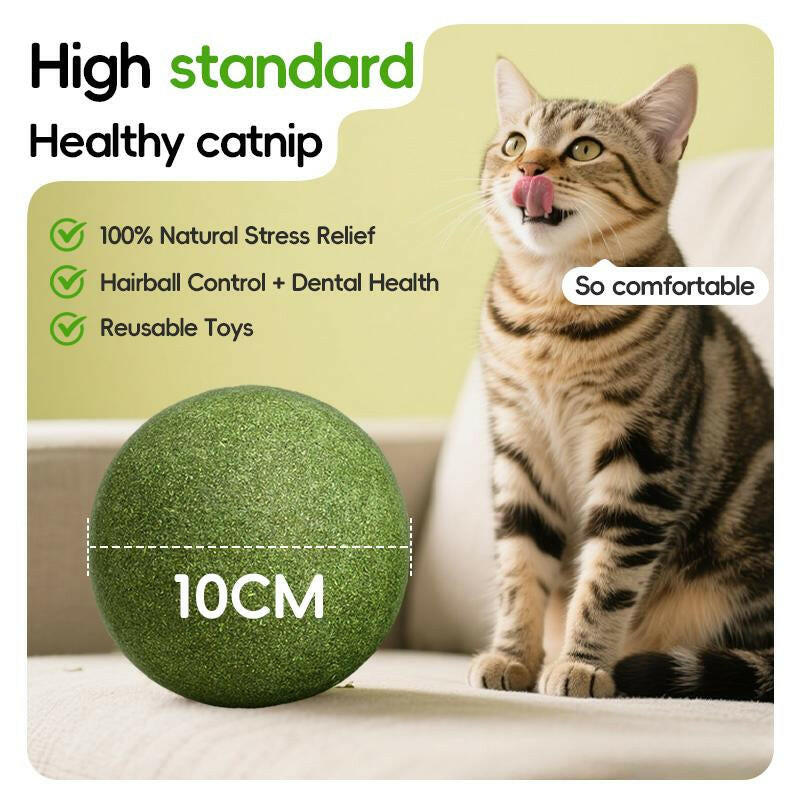 Extra-Large Size Natural Cat Mint Ball, 10 Cm in Diameter, Solid, Edible, Natural Cat Mint Toy, a Fun Toy for Cats