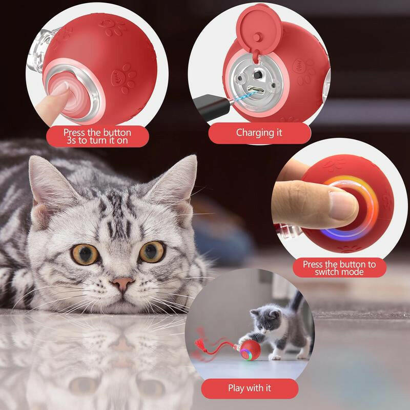 Cat&Dog Toy - Interactive USB Rechargeable Ball Toy on Rug with Bird Chirping, Anti-Depression Fun Gift for Cats & Dogs