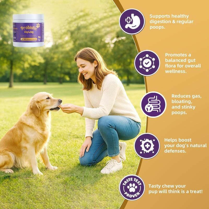 Hapwag Probiotic Soft Chews for Dogs – Digestive Health & Allergy Relief Dog Treats