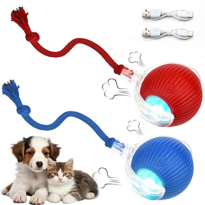 Cat&Dog Toy - Interactive USB Rechargeable Ball Toy on Rug with Bird Chirping, Anti-Depression Fun Gift for Cats & Dogs