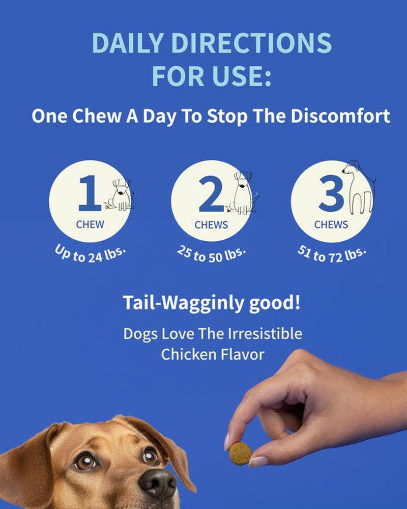 Daily 8 Multivitamin for Dogs - Probiotic for Dogs Itchy Skin - Allergy Chews for Dogs - 120 Chicken Flavor Chews with Salmon Oil & Quercetin - Dog Vitamin Supplement - Itch Relief Remedy
