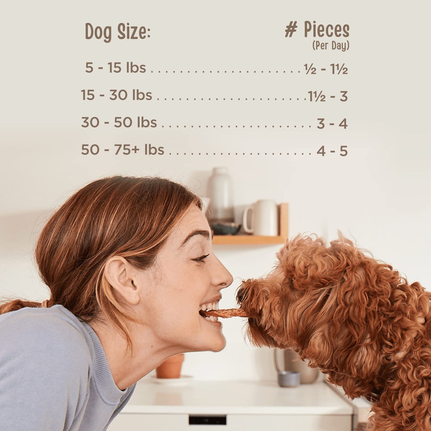 Organic Chicken Jerky Treats for Dogs All Natural Human Grade 2 Pound Pack