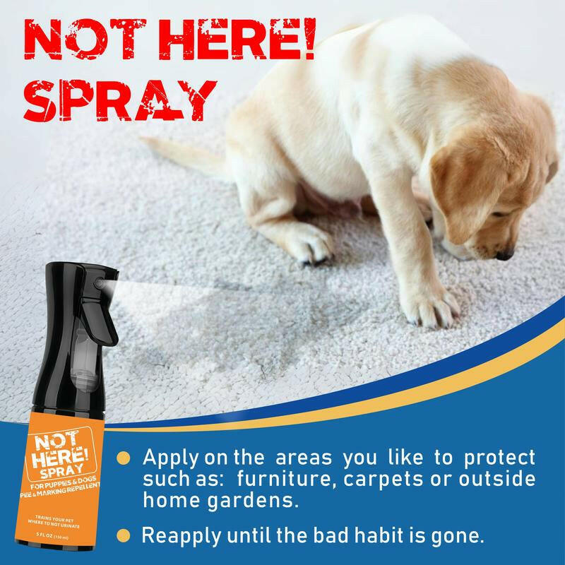 NOT HERE SPRAY - anti Cat & Dog Urine Spray - 5 Fl Oz -No More Marking Spray for Dogs & Cats-Non-Staining Potty Training Spray Fordogs & Cats - Effective Don'T Pee Herespray for Dogs
