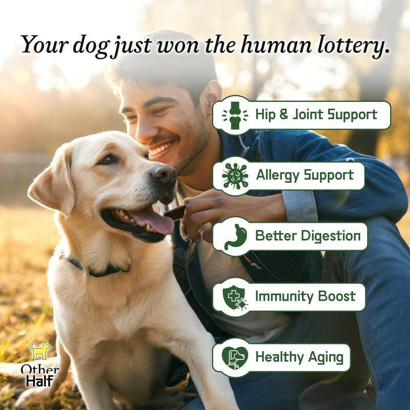 Other Half Everyday - Clean Dog Multivitamin Supplement | 45 Active Ingredients | 30 Scoops