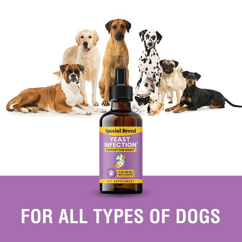 Special Breed Yeast Infection Treatment for Dogs - Soothing Itch Relief, Ear Infection Treatment, Reduces Irritation & Inflammation, 2 Oz