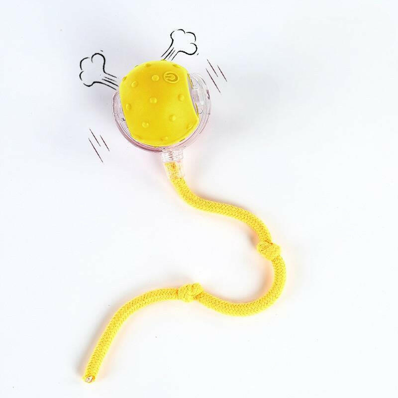 Cat&Dog Toy - Interactive USB Rechargeable Ball Toy on Rug with Bird Chirping, Anti-Depression Fun Gift for Cats & Dogs