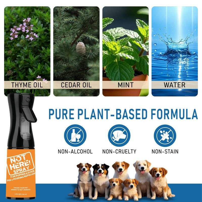 NOT HERE SPRAY - anti Cat & Dog Urine Spray - 5 Fl Oz -No More Marking Spray for Dogs & Cats-Non-Staining Potty Training Spray Fordogs & Cats - Effective Don'T Pee Herespray for Dogs
