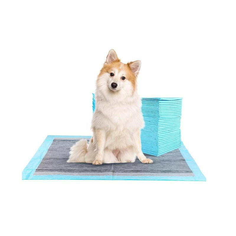Super-Absorbent Waterproof Dog & Cat and Puppy Pet Training Pad, Housebreaking Pet Pad, 100-Count Small-Size