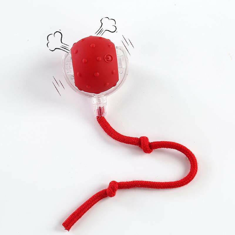 Cat&Dog Toy - Interactive USB Rechargeable Ball Toy on Rug with Bird Chirping, Anti-Depression Fun Gift for Cats & Dogs
