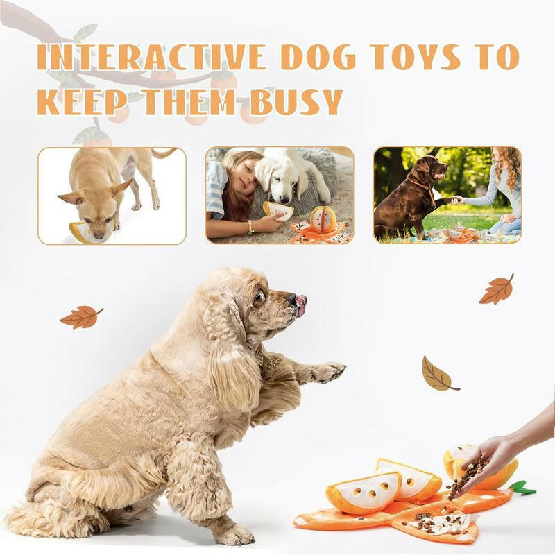Nocciola 5-In-1 Orange Dog Enrichment Toys, 4 Orange Slices with a Peel Snuffle Mat for Treats Hunting Fun, Squeaky Hide and Seek Puzzle Dog Toy for Medium Dogs