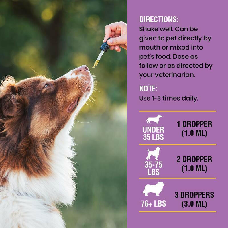 Special Breed Yeast Infection Treatment for Dogs - Soothing Itch Relief, Ear Infection Treatment, Reduces Irritation & Inflammation, 2 Oz