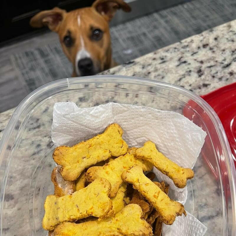 Homemade Dog Treat Kit - DIY Dog Treat Baking Kit W/Molds, Cutters, Recipes & Gift Bags - Bake Fresh, Healthy Organic Training Treats for Dogs at Home