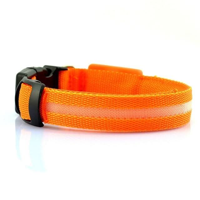 USB RECHARGEABLE LED PET DOG COLLAR - Pets Best shop