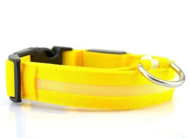 USB RECHARGEABLE LED PET DOG COLLAR - Pets Best shop