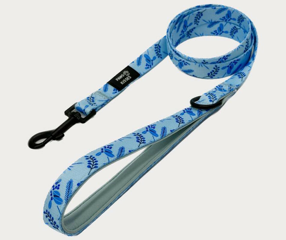 Furost Leash