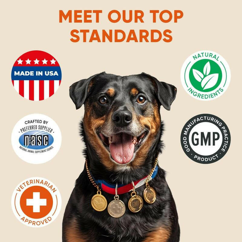 Pawzitive Pets Multivitamin Chews for Dogs – Daily Health Support with Probiotics, Omega 3, Minerals & Vitamins – All-Breed – Made in USA