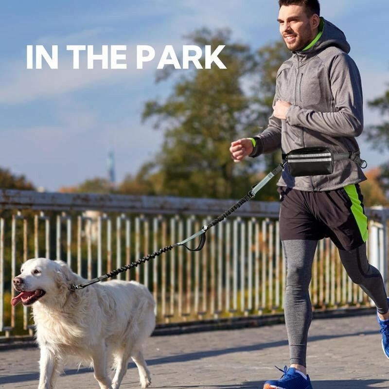 Hands Free Dog Leash with Pouch, 1Pc Retractable Bungee Dog Leash with Double Padded Handles, Dog Waist Leash for Dog Walking, Running Leash for Dogs