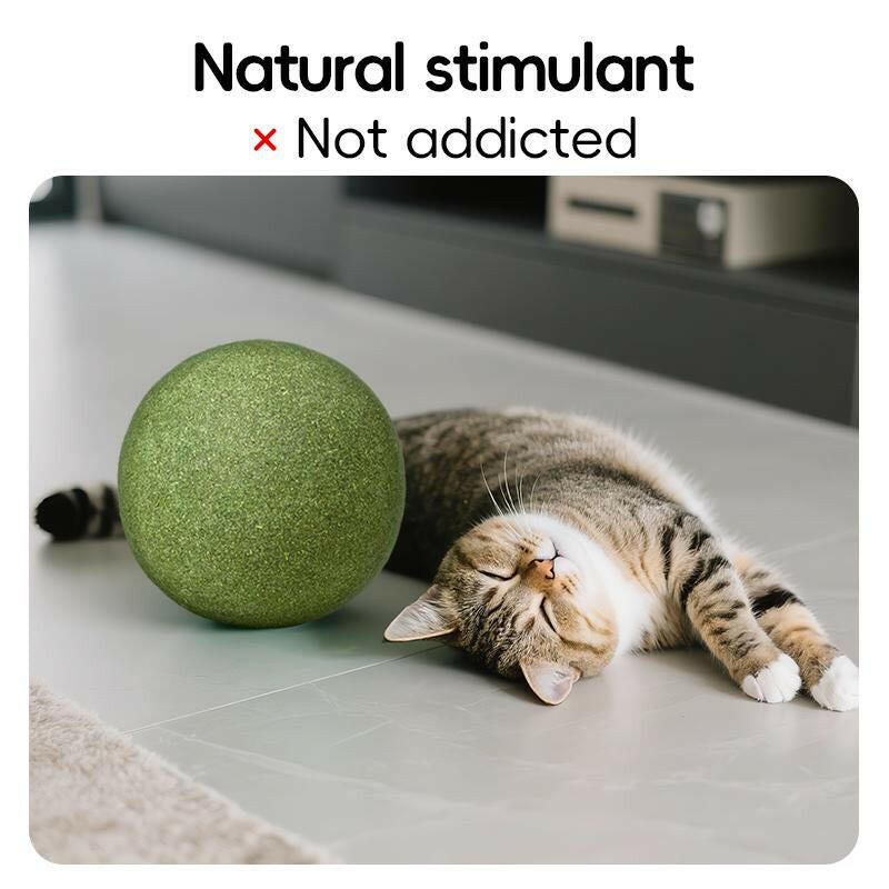 Extra-Large Size Natural Cat Mint Ball, 10 Cm in Diameter, Solid, Edible, Natural Cat Mint Toy, a Fun Toy for Cats