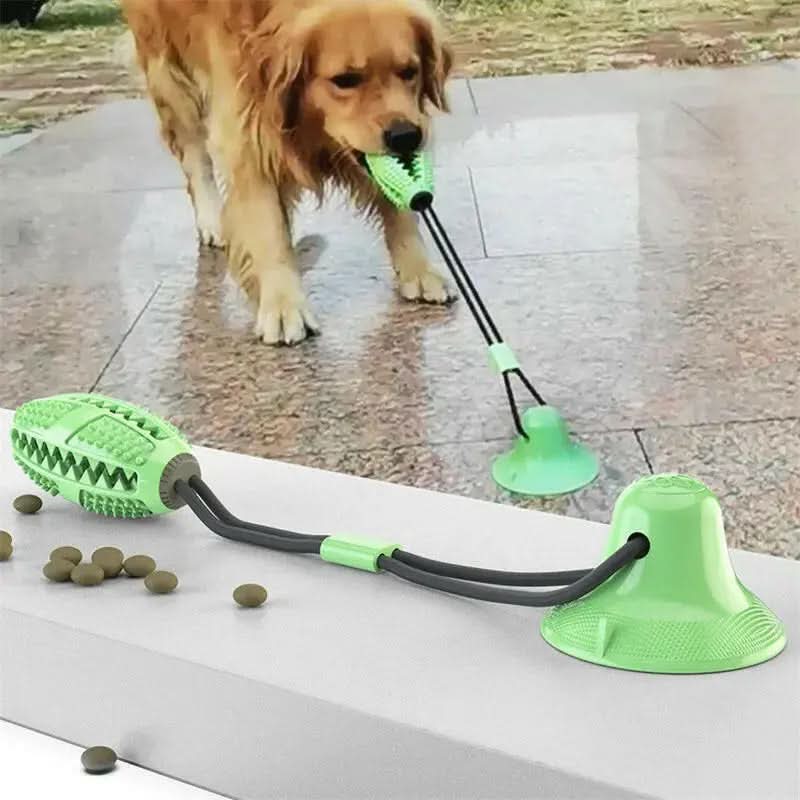 Suction Ball Interactive Dog Toy - Pets Best shop